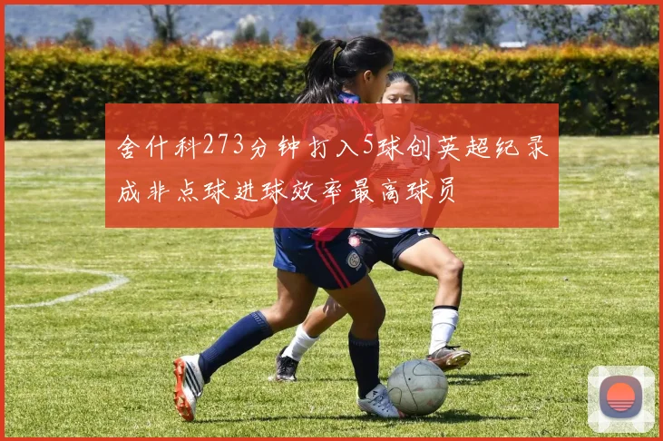 舍什科273分钟打入5球创英超纪录成非点球进球效率最高球员