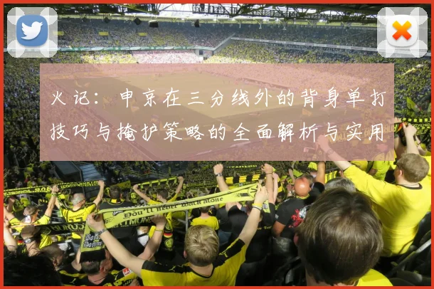 火记：申京在三分线外的背身单打技巧与掩护策略的全面解析与实用指南